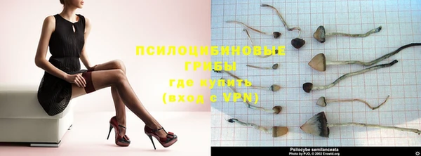 apvp Богородицк