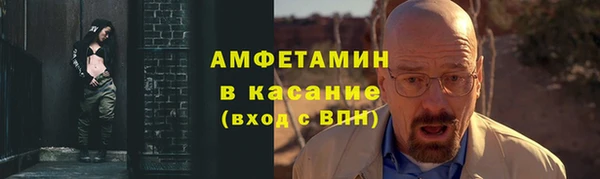 стаф Белокуриха