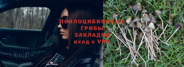 твердый Белоозёрский