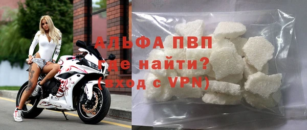 стаф Белокуриха