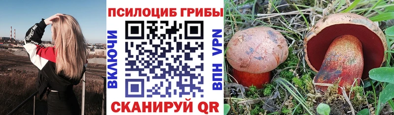 mega рабочий сайт  цена   Сердобск  Галлюциногенные грибы MAGIC MUSHROOMS 