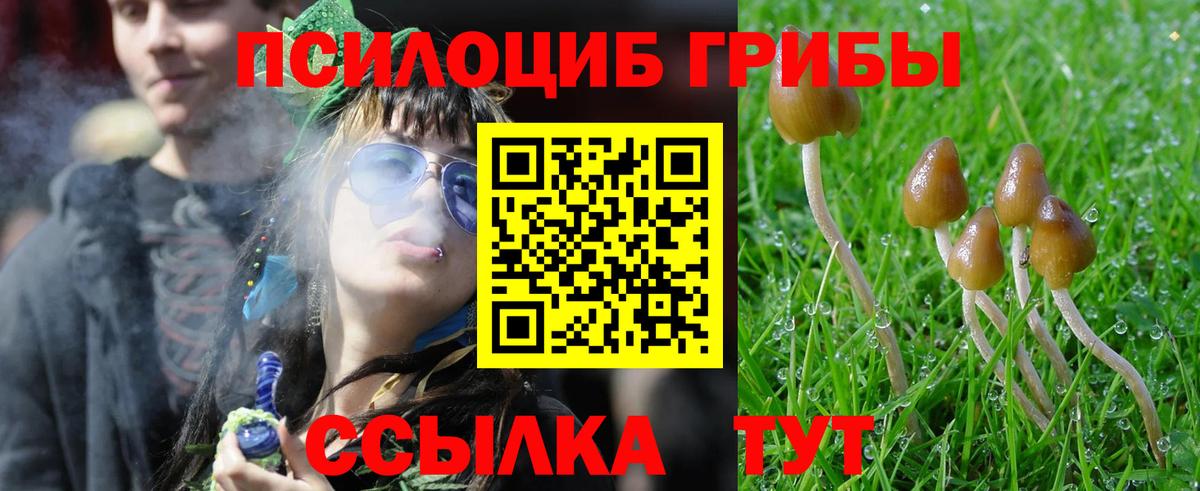 наркошоп  Псилоцибиновые грибы MAGIC MUSHROOMS  Вход с VPN  Галлюциногенные грибы мицелий  Сердобск 